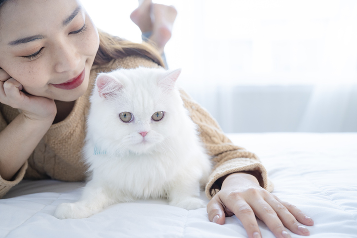 Photo:iStock / Somsri Luangsod