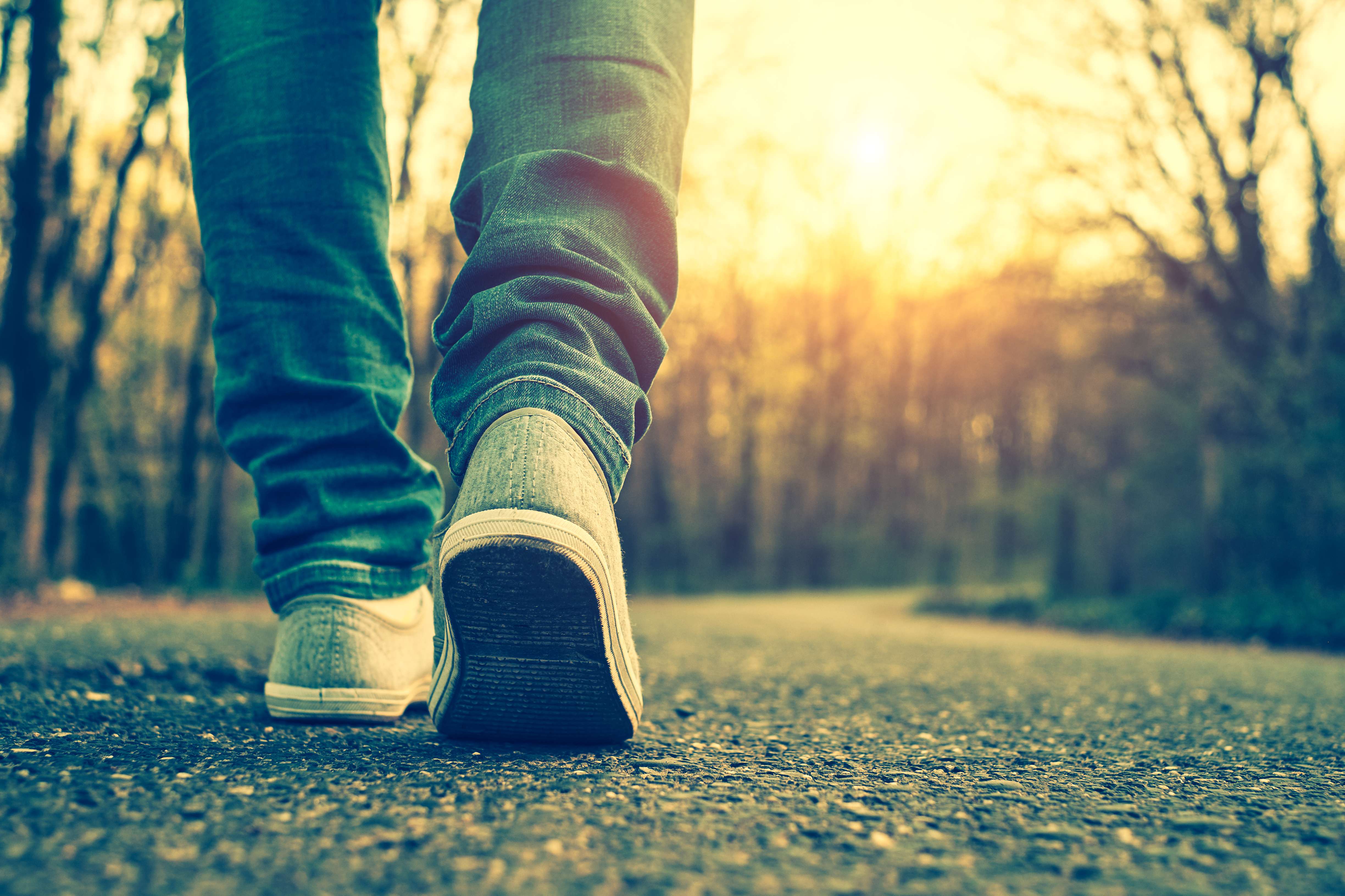 Photo : iStock / Thomas_Zsebok_Images