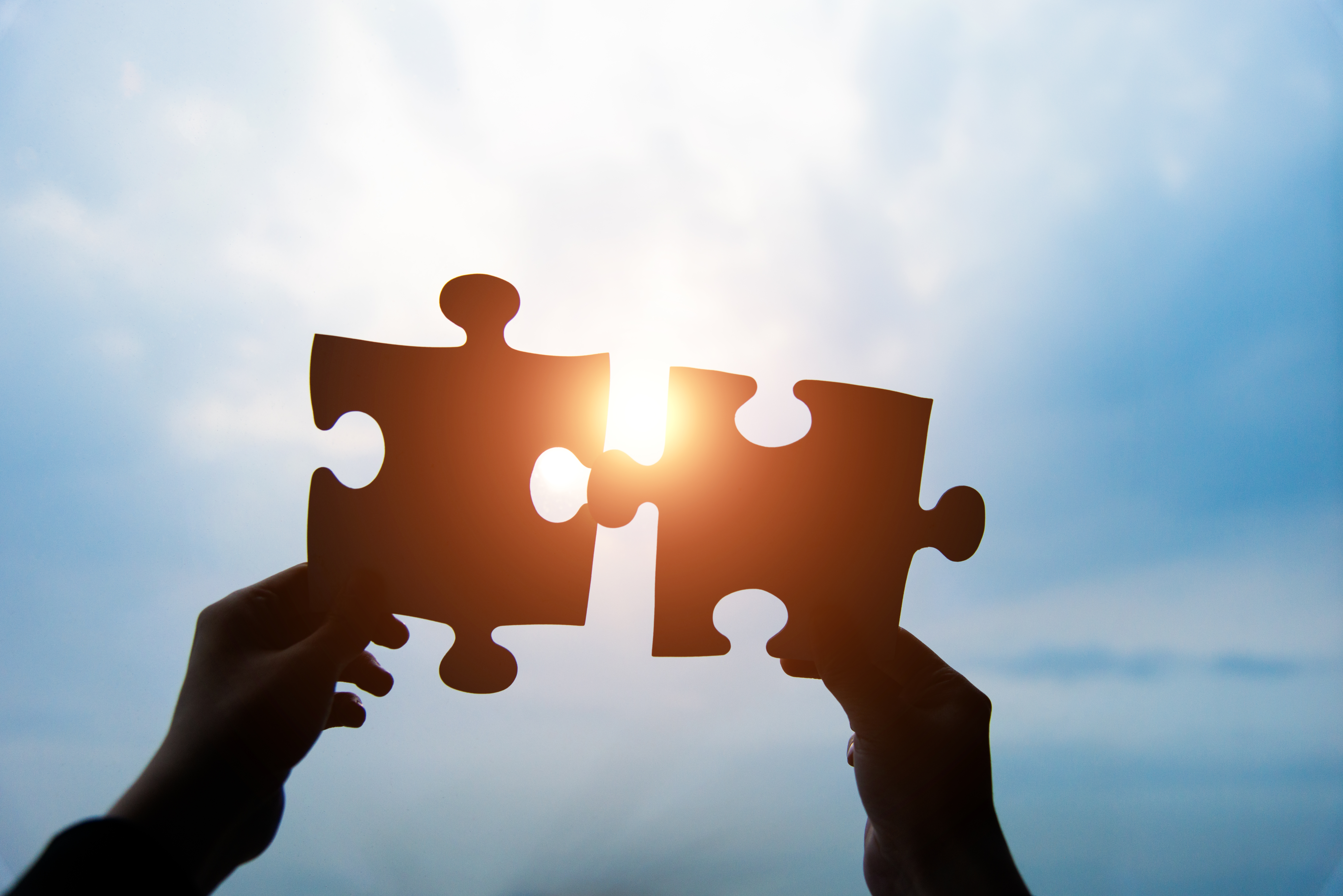 Photo：iStock / baona