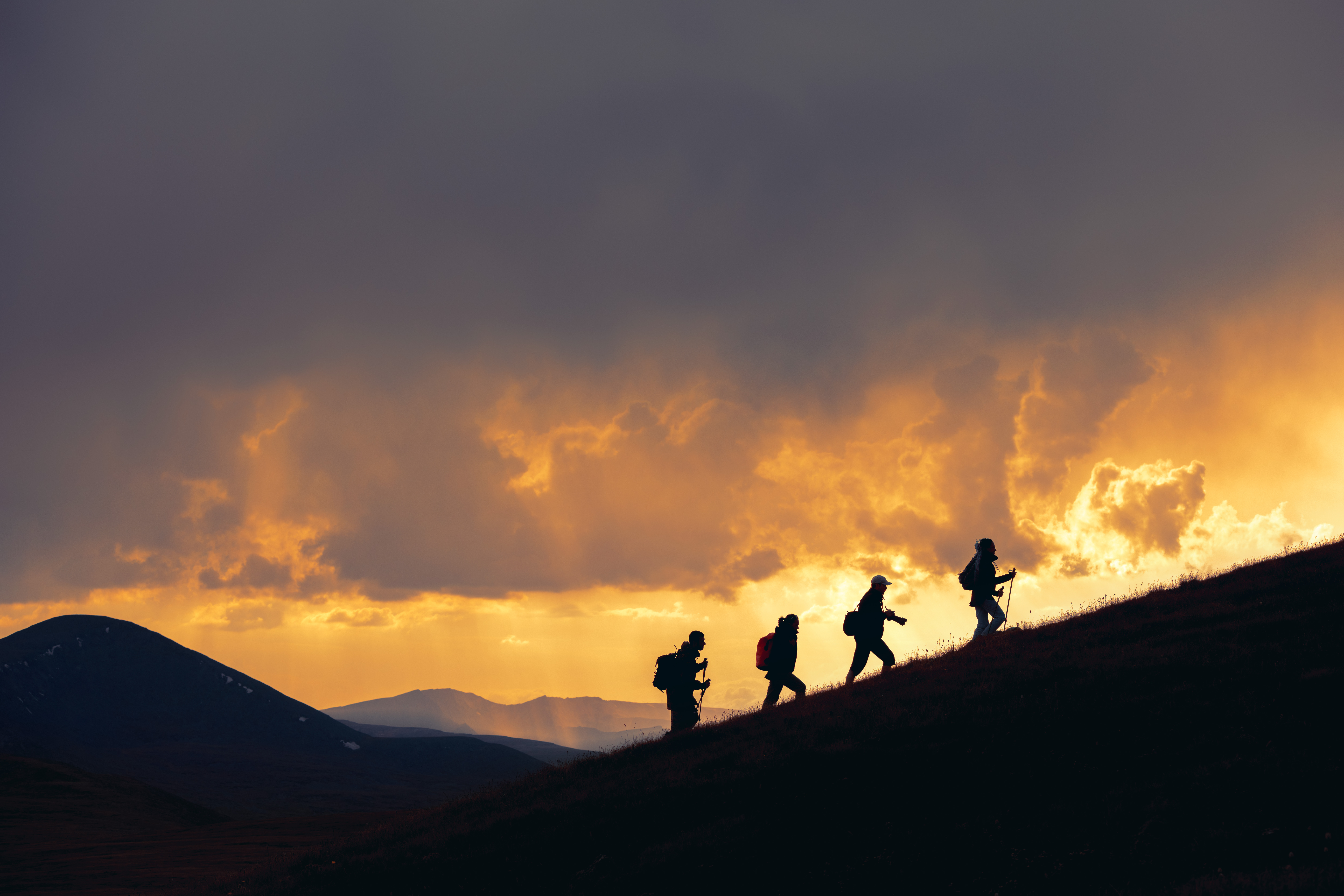 Photo : iStock / molchanovdmitry
