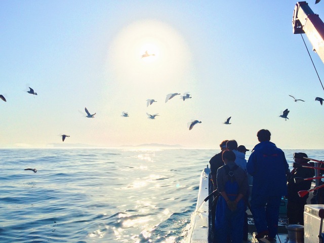 初めて漁船に乗った日の写真。漁を終えて市場に向かう漁師の後ろ姿(写真・本人提供)