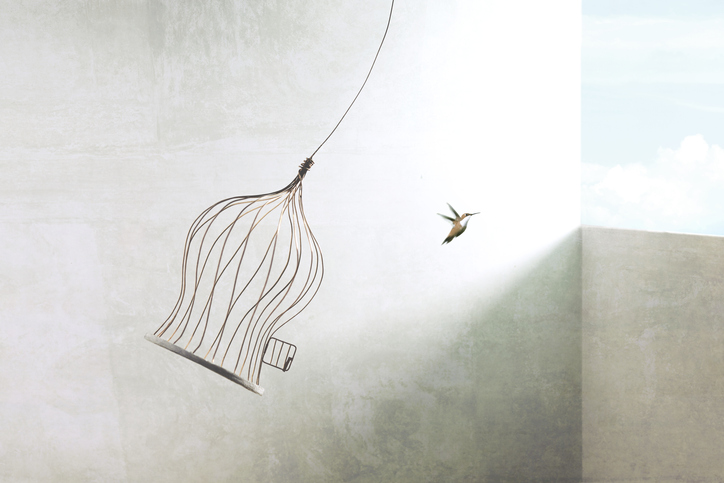 Photo:iStock / francescoch